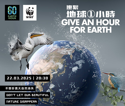 WWF Earth Hour 2025 - Give an hour for earth